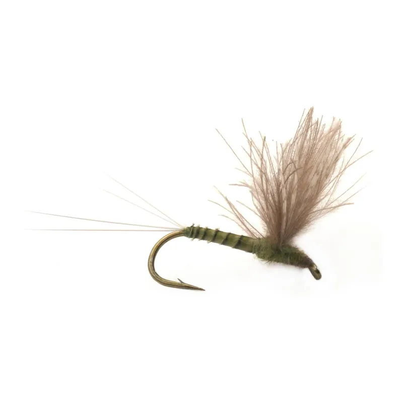 Umpqua CDC Biot Comparadun Olive – Trockenfliege Commande En Gros