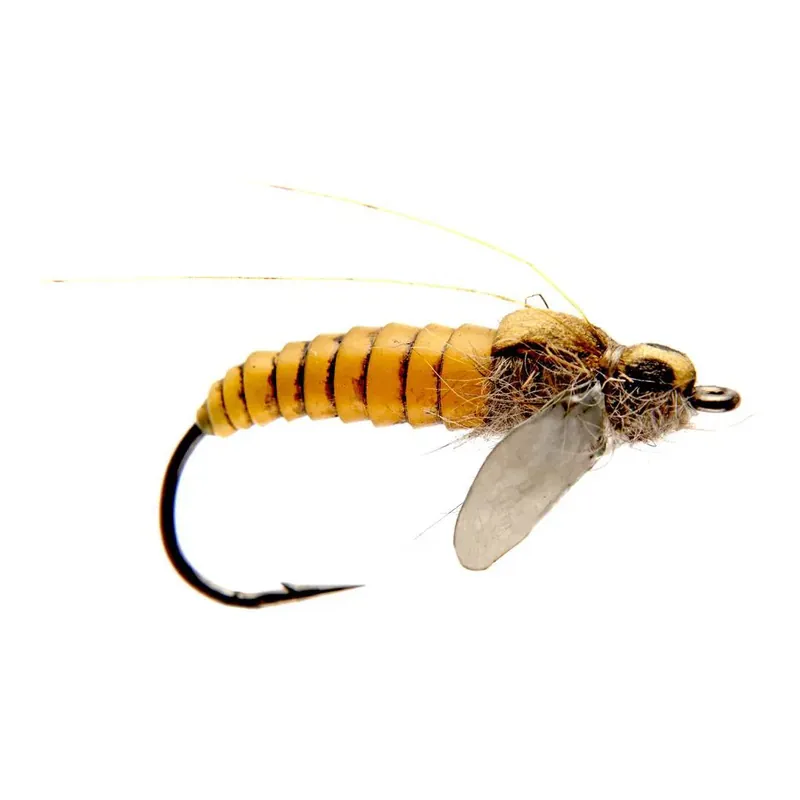 J son Nymphe de Caddis Livraison Express