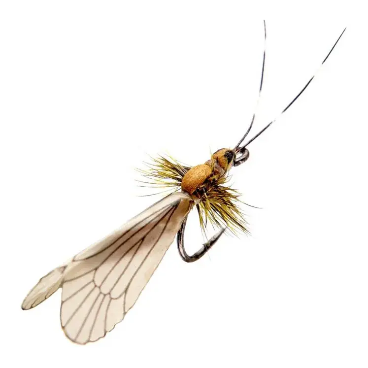 J son Caddis Adulte Prix Bas