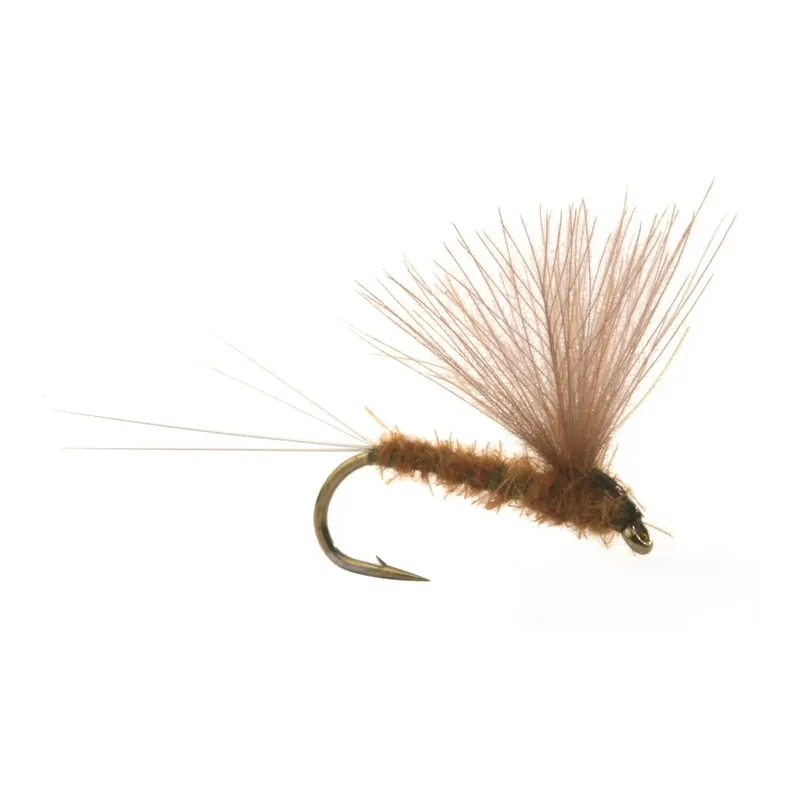 Livraison Express Umpqua Runes CDC Nohackle Olive – Trockenfliege