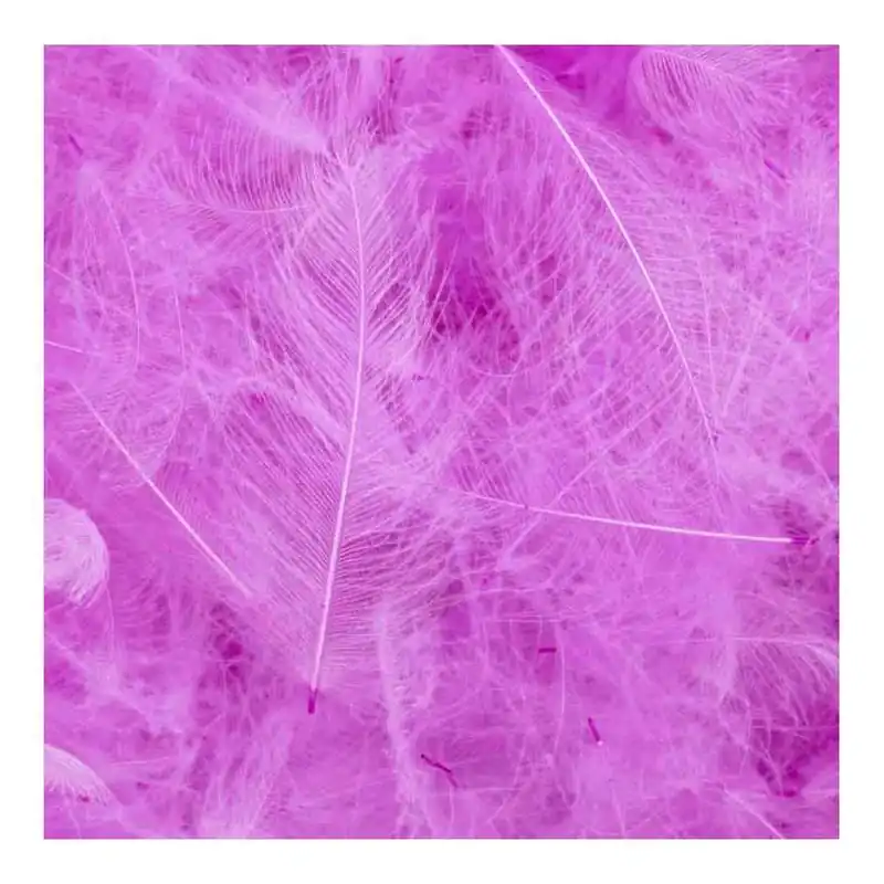 Offre Limitée 54 Dean Street CDC Super Select Baby Pink Light