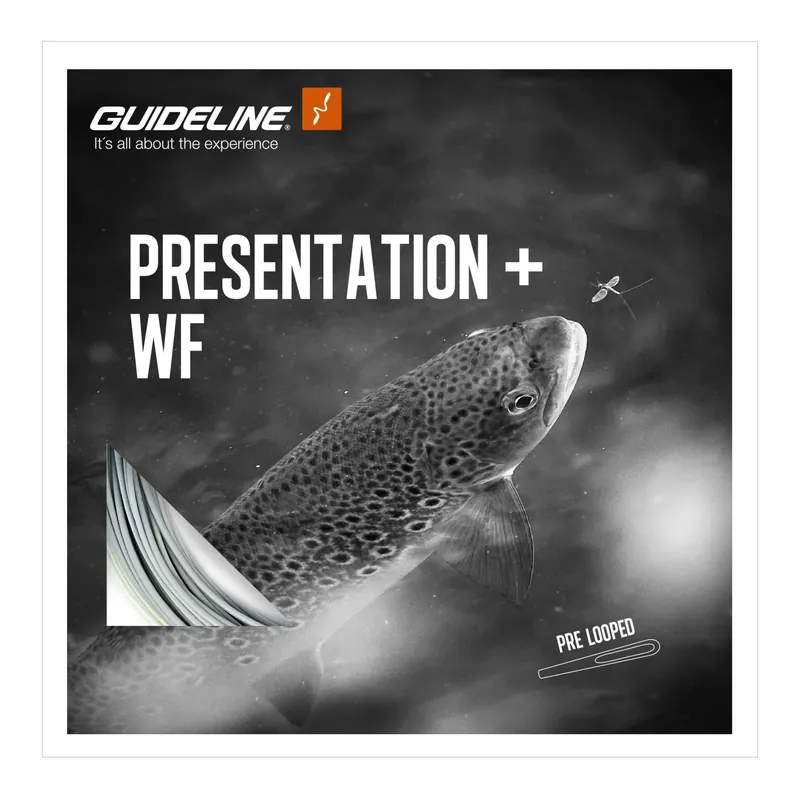 Guideline Presentation+ WF/F - Fliegenschnur Remise