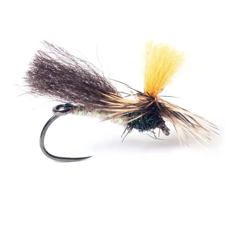 Satisfait Ou Remboursé Guideline Indi Caddis