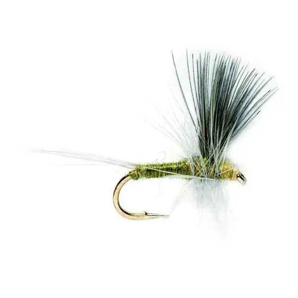 Fulling Mill Thorax BWO - Trockenfliege Paiement Sécurisé