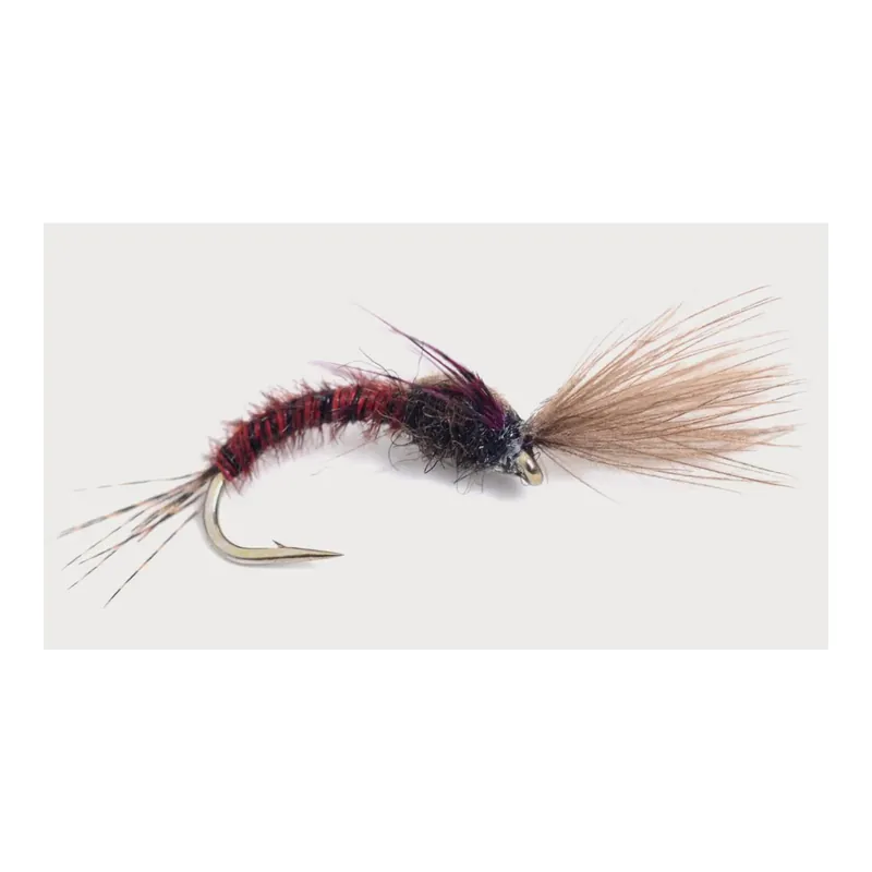 Guideline Shuttlecock Emerger Dernière Chance