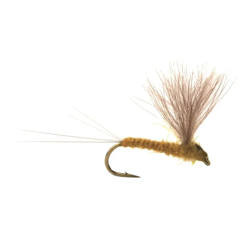 Acheter En Ligne Umpqua Runes CDC Nohackle Lt. Olive – Trockenfliege