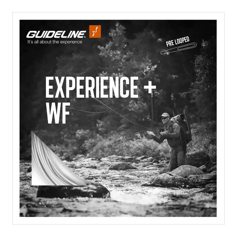 Meilleure Vente Guideline Experience+ WF/F - Fliegenschnur