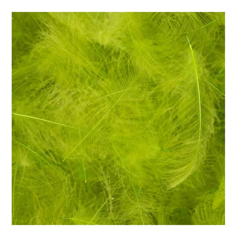 Solde 54 Dean Street CDC Super Select Insect Green