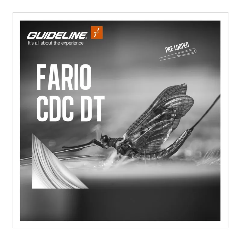 Guideline Fario CDC DT/F - Fliegenschnur Top Vente