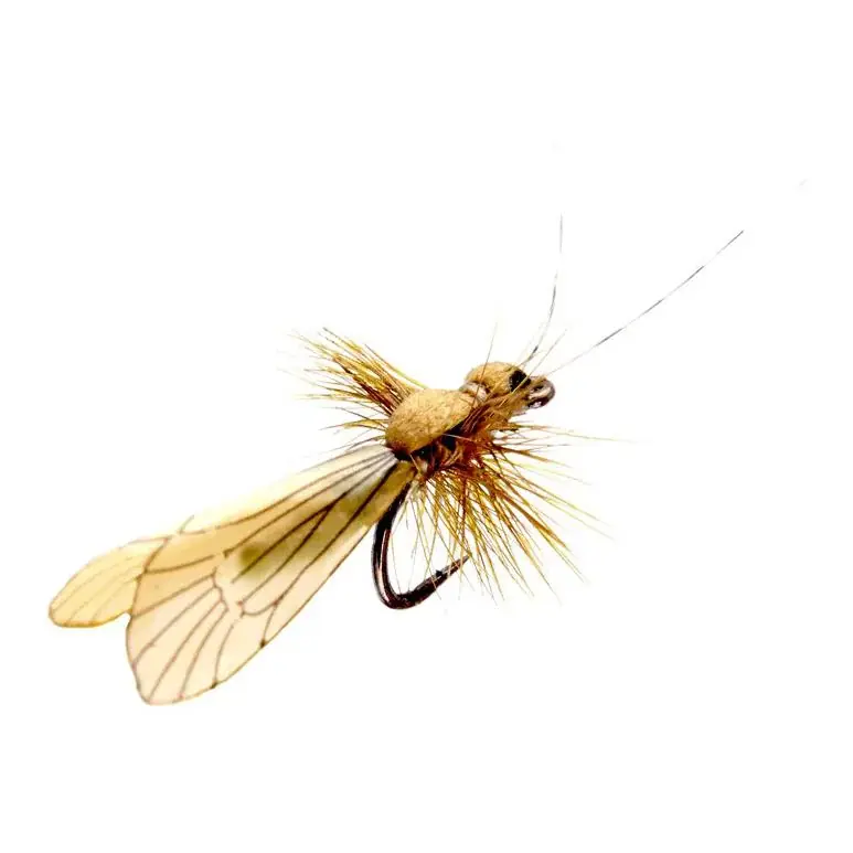 J son Caddis Adulte Paiement Sécurisé
