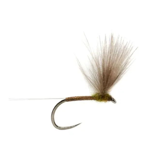 Fulling Mill Weiss‘ CdC Baetis o.W. - Trockenfliege Solde