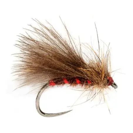Expédition Rapide Fulling Mill Roza’s Red Rib Caddis o.W. - Trockenfliege