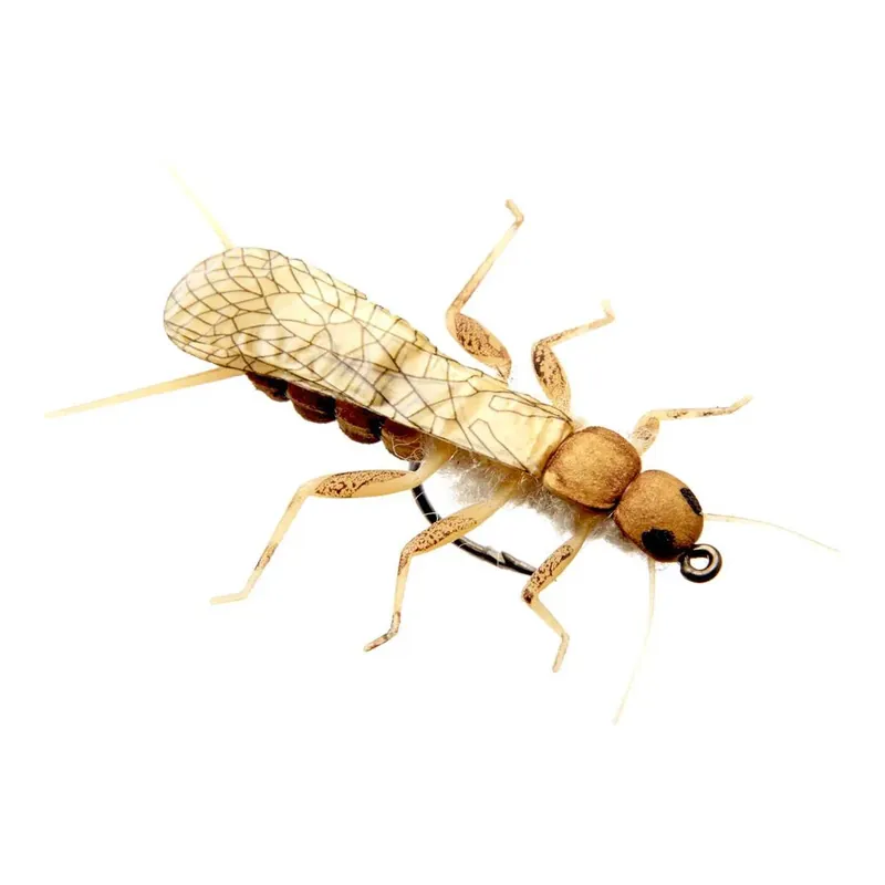 J son Mouche de la pierre adulte Promotion Saisonnière