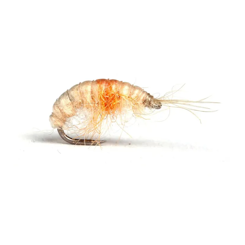 Certifié Guideline Scud - Nymphe