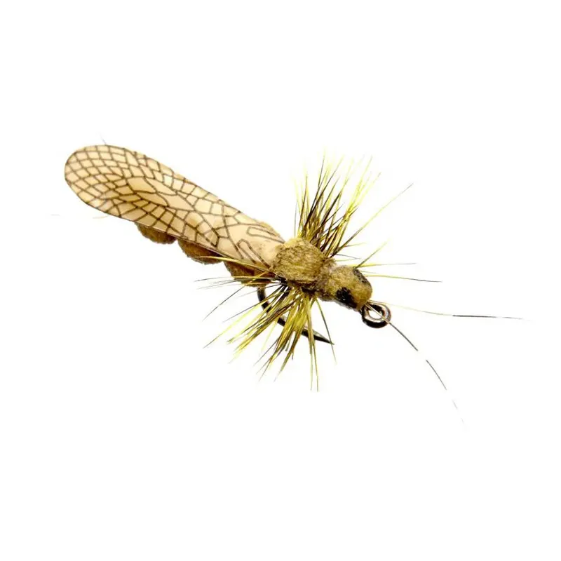 J son Mouche de la pierre adulte Remise