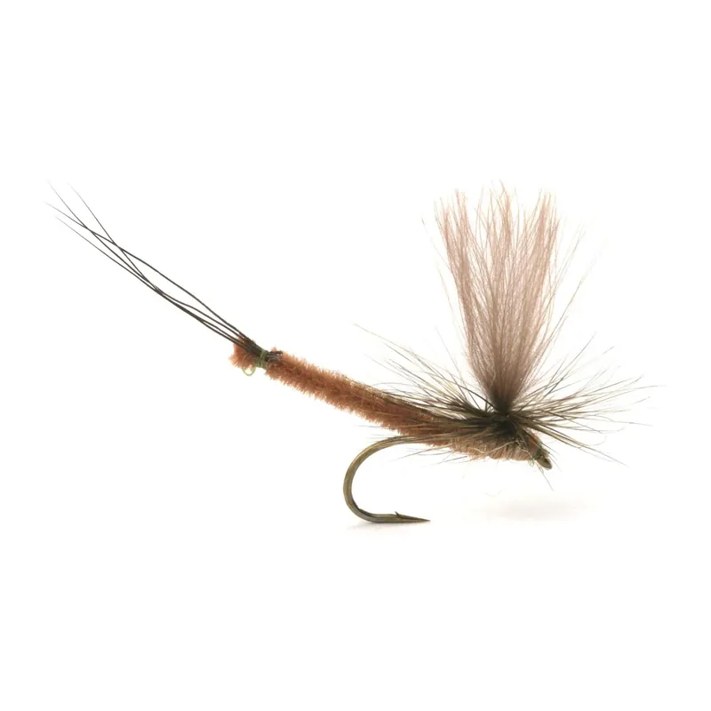 Guideline Vulgata Dun - Trockenfliege Prix Réduit