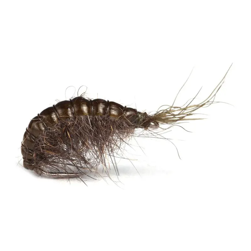 Guideline Scud - Nymphe Vente Flash