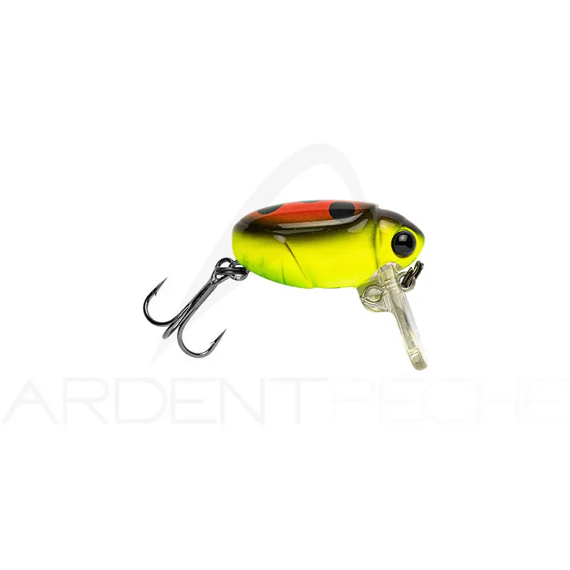 Vente Directe Poisson nageur BASSDAY Bun