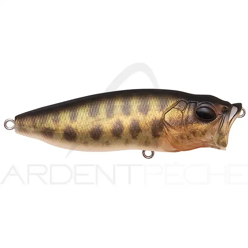 Poisson nageur MEGABASS Pop max Nouvelle Collection