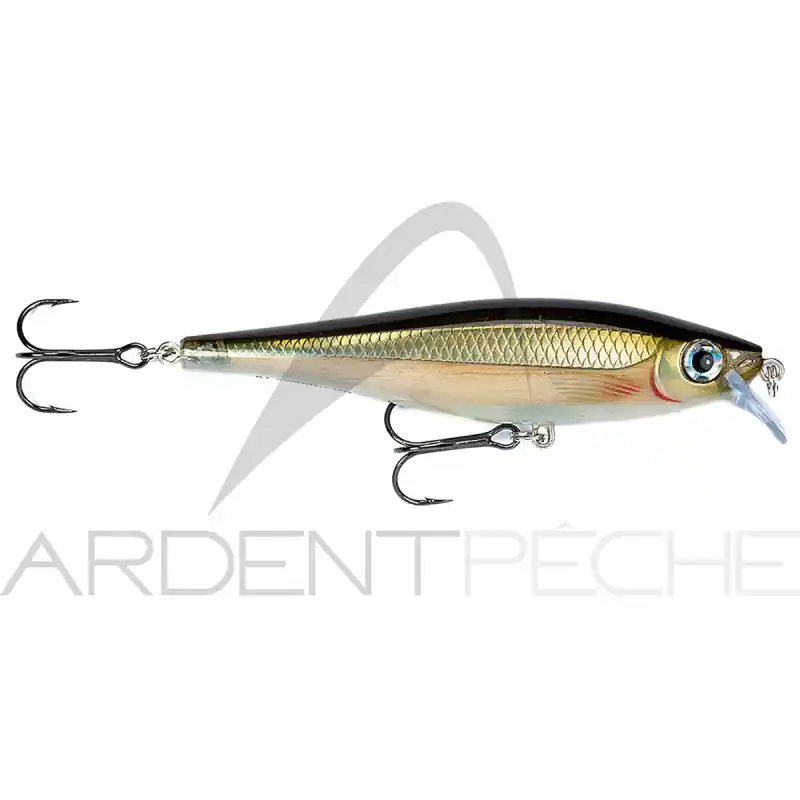 Poisson nageur RAPALA BX Minnow 10 Affaire À Saisir