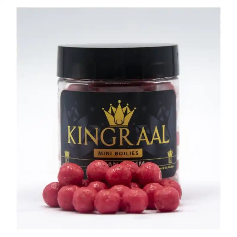 Dernier Modèle MINI BOILIES OCEAN ( NEW 2024 ) 10MM 50GR KINGRAAL
