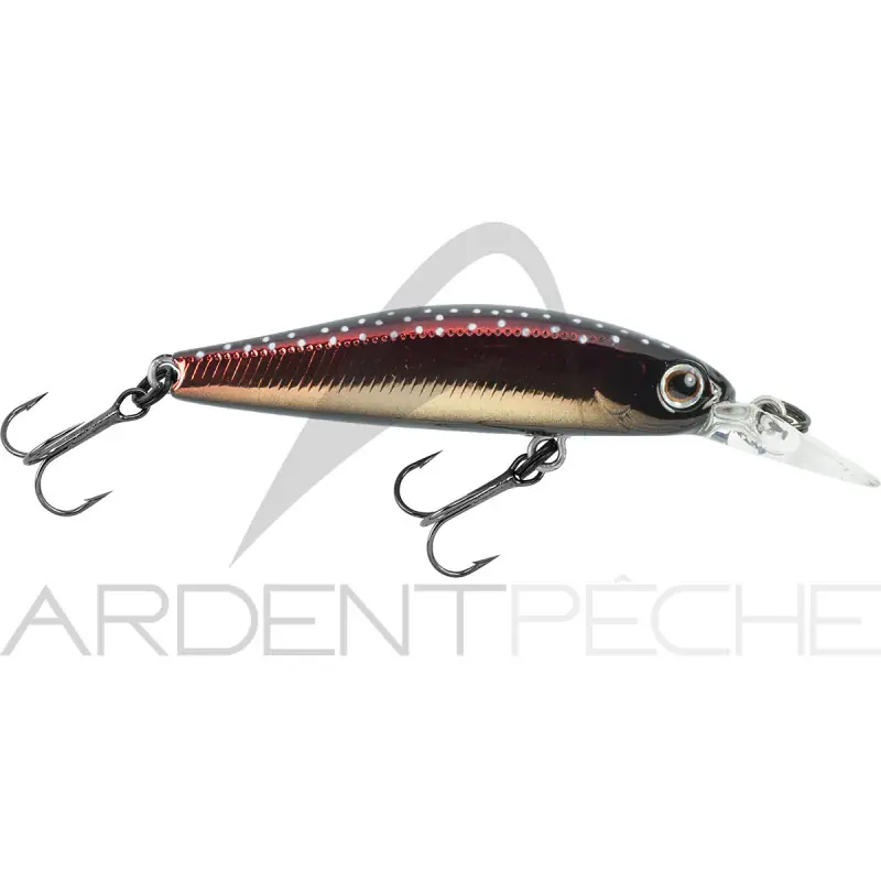 Expédition Rapide Poisson nageur ZIP BAITS Rigge S line 46 S MDR
