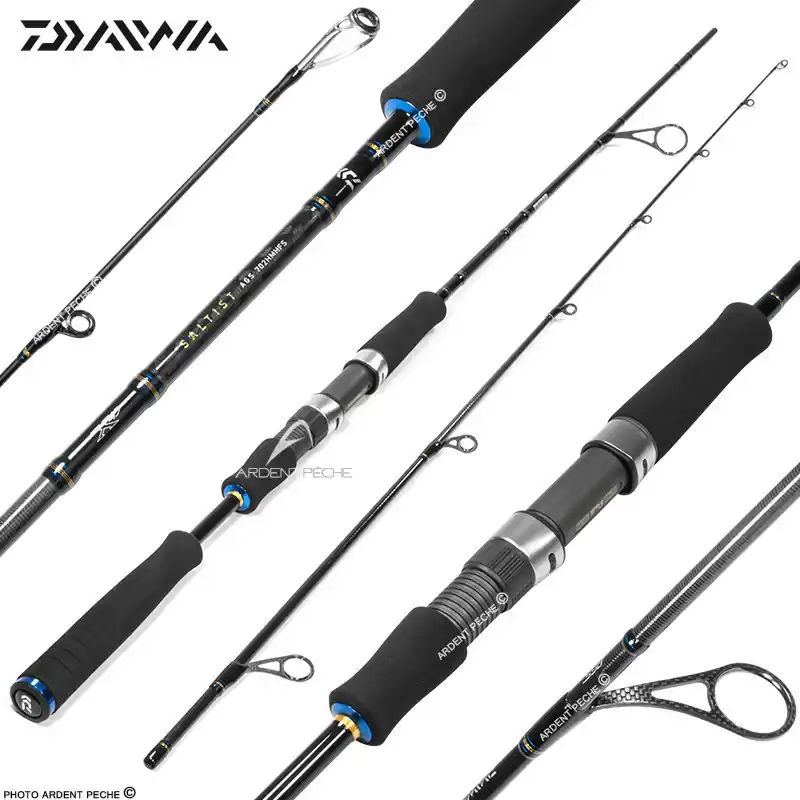 Marque Canne DAIWA Saltist AGS