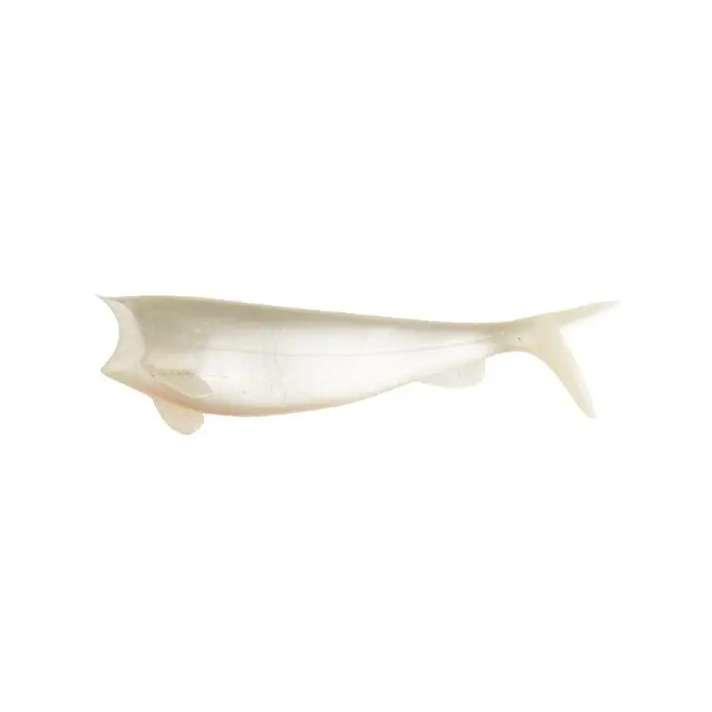 Populaire Leurre Hart Souple Shad 120 mm 51
