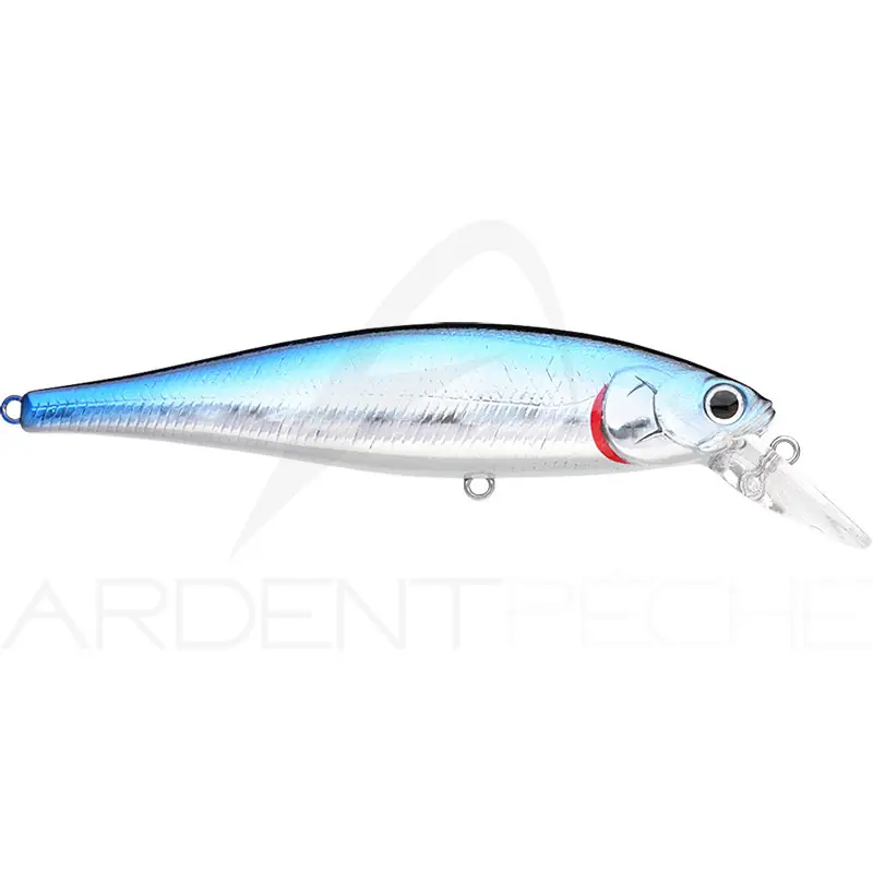 Bon Plan Poisson nageur LUCKY CRAFT B Freeze Pointer 100 SW