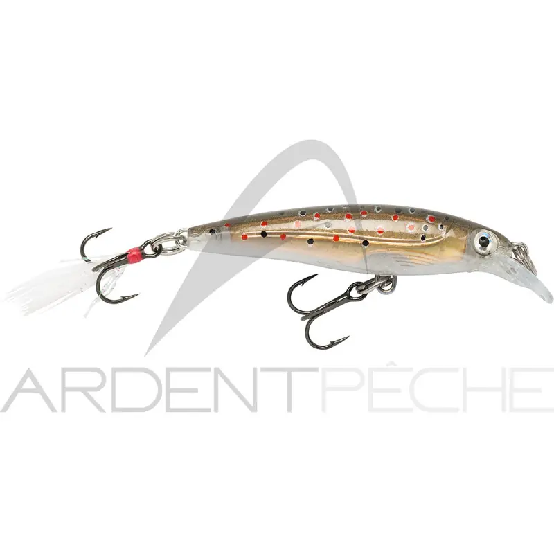 Promotion Saisonnière Poisson nageur RAPALA X Rap 04