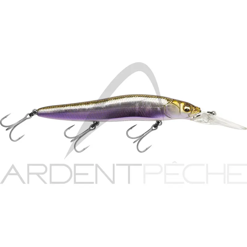 Poisson nageur MEGABASS Vision 110 R+2 Offre Limitée