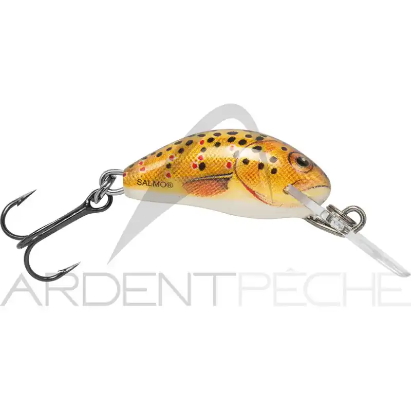 Poisson nageur SALMO Hornet 2 S Dernière Chance