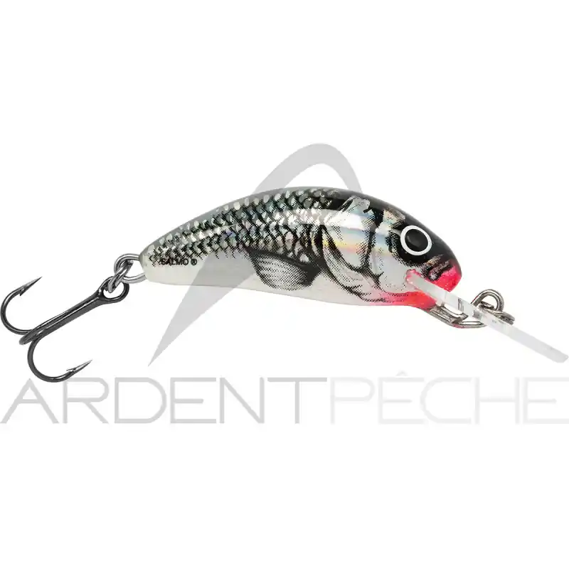 Poisson nageur SALMO Hornet 3 F Réduction