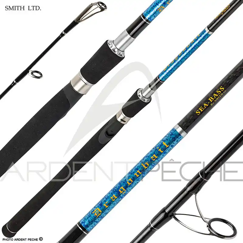 Affaire À Saisir Canne SMITH Dragonbait Seabass 110