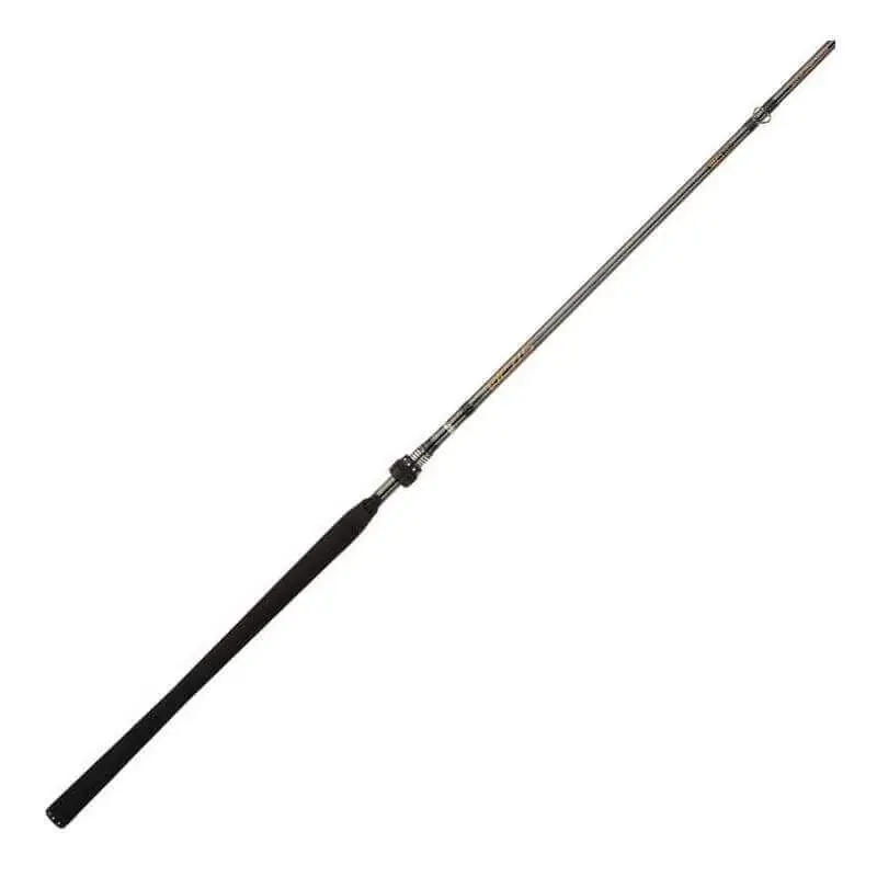 Seulement Aujourd'hui Canne Abu Garcia Victis 661M 30 g