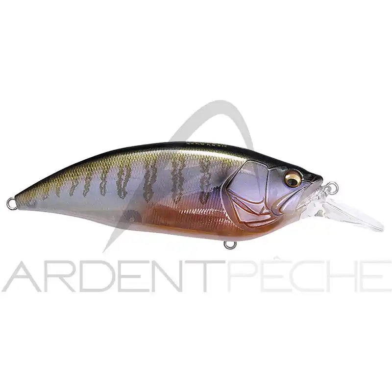 Promotion Poisson nageur MEGABASS Big M 4.0