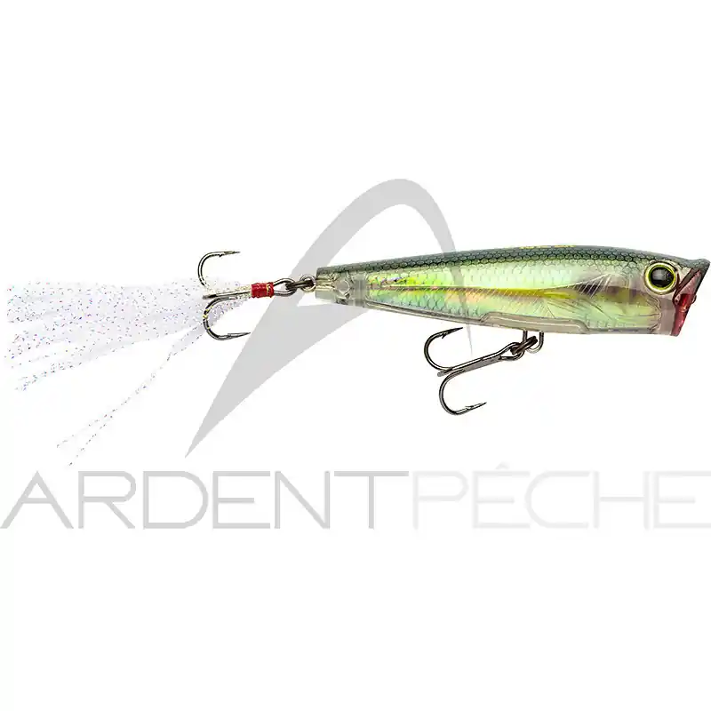 Poisson nageur YO ZURI 3DR Popper 65 Petit Prix