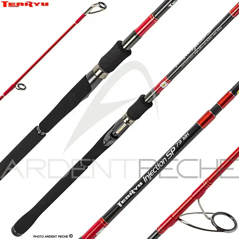 Expédié Aujourd'hui Canne TENRYU Injection SP 79 MH