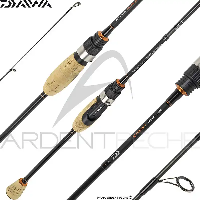 Commander Maintenant Canne DAIWA Presso iprimi