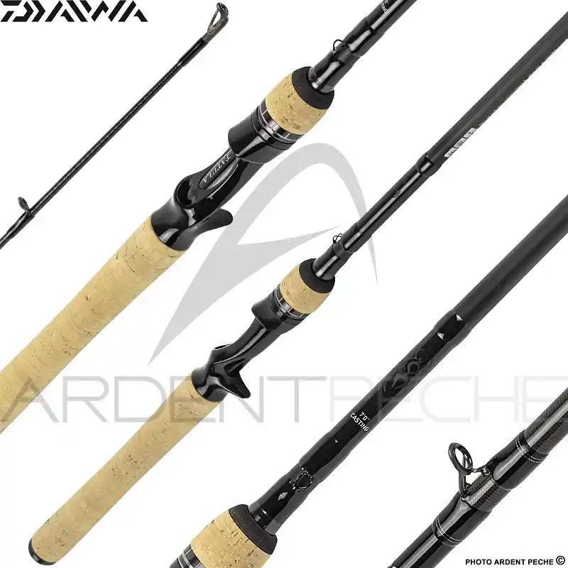 Canne casting DAIWA Tatula 2020 Haute Qualité