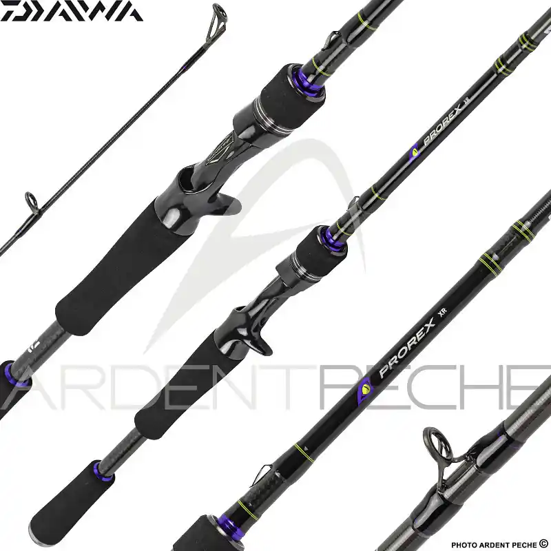 Bon Plan Canne casting DAIWA Prorex XR 2020