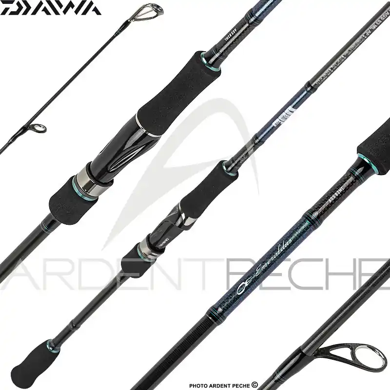 Canne DAIWA Emeraldas AGS Solde