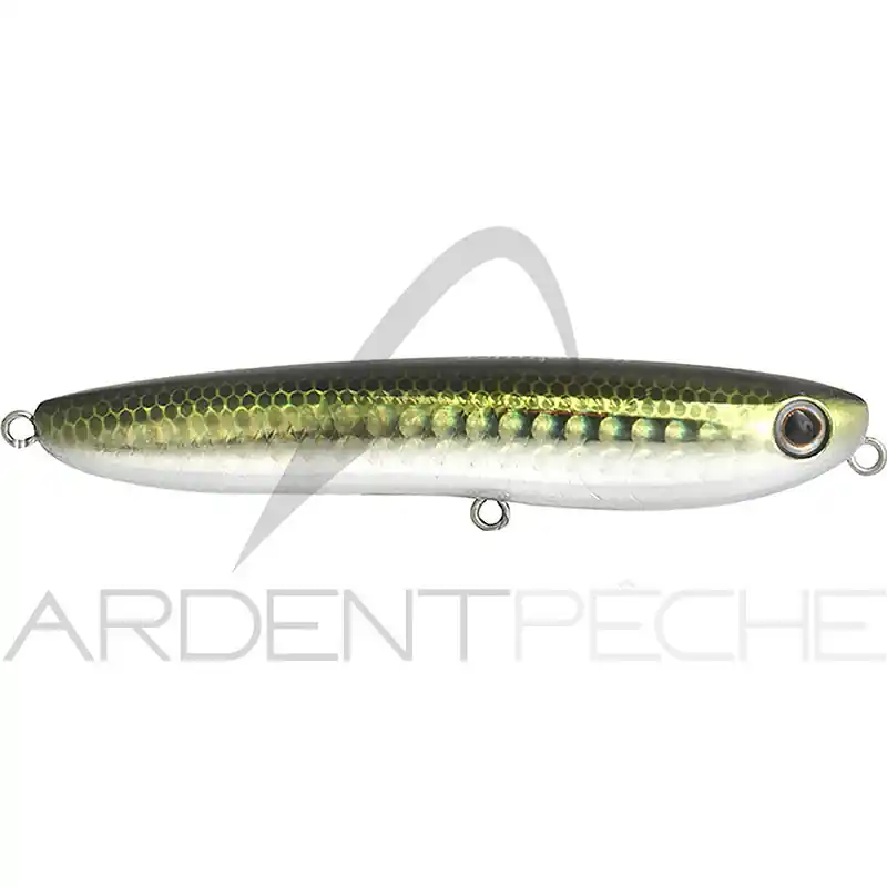 Dernier Modèle Poisson nageur TACKLE HOUSE Cronuts cr79