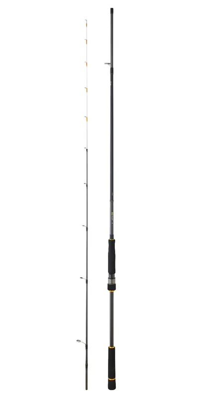 Meilleure Vente Canne Daiwa BG Tenya-BG242HAF