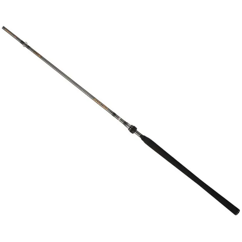 Canne Abu Garcia Victis 701H 60 g Promotion Saisonnière