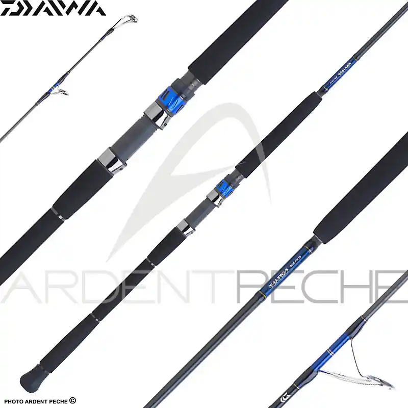 Dernier Modèle Canne DAIWA Saltiga spinning