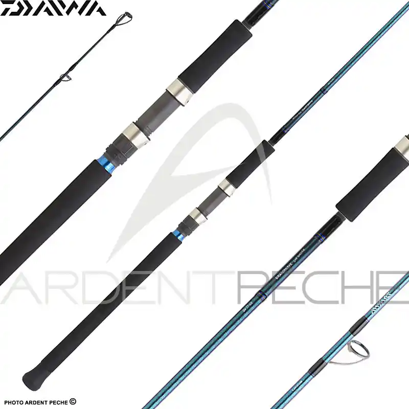 Remise Canne DAIWA Grandwave offshore