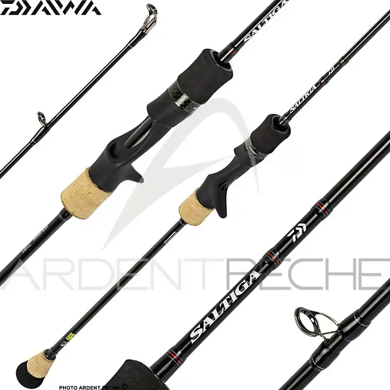 Certifié Canne DAIWA Saltiga slow jigging