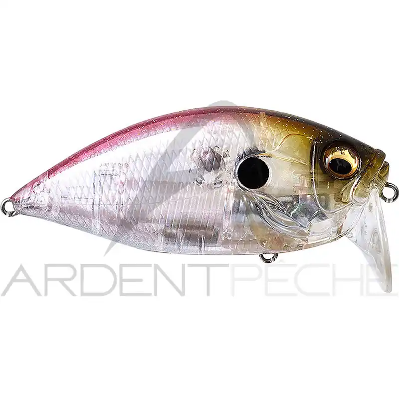 Quantité Limitée Poisson nageur MEGABASS ORC Burning shad