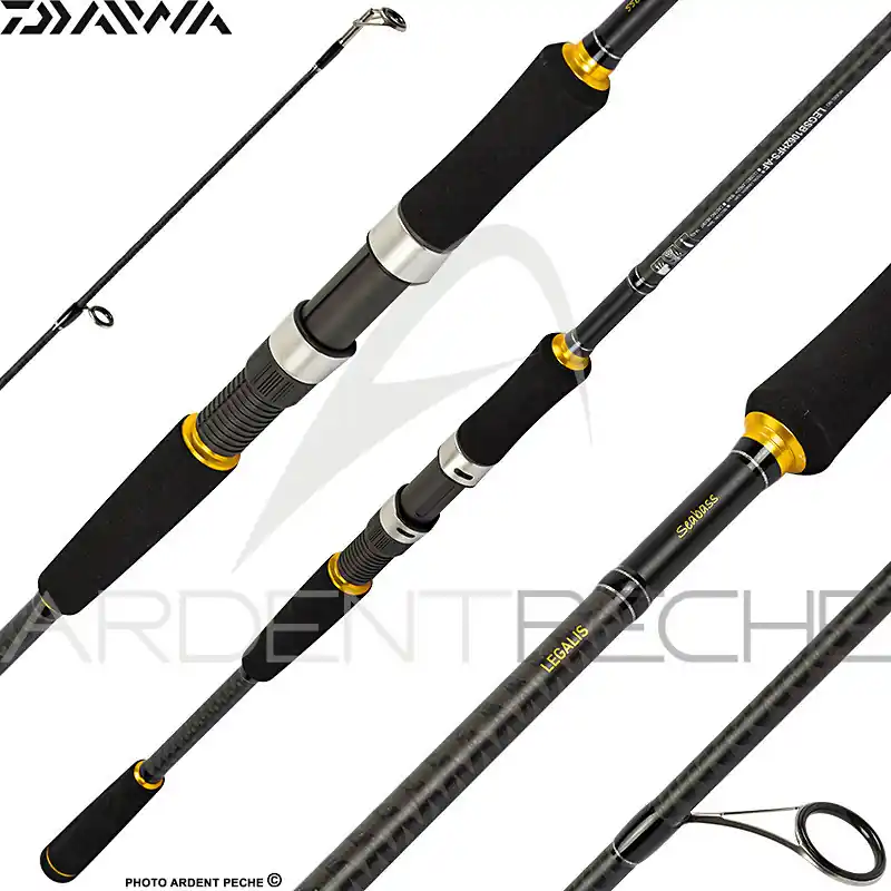 Canne DAIWA Legalis seabass 2020 Commander Vite
